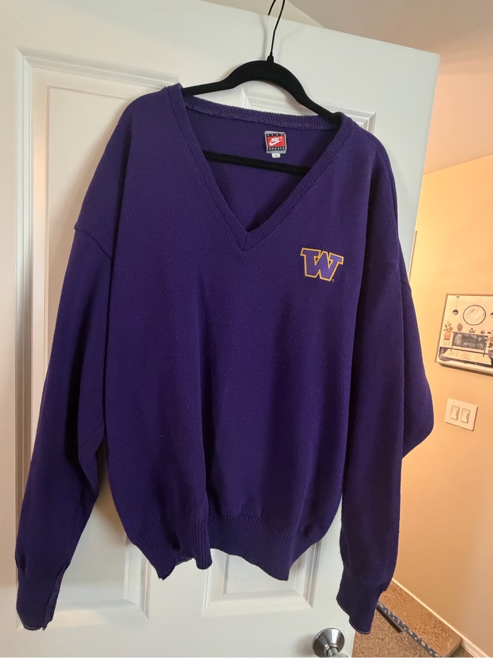 University of Washington Vintage Nike Purple V-Neck Sweater (L)